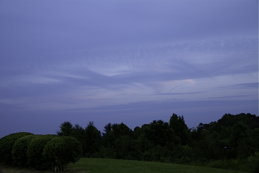This Brian Charles Steel photo depicts a night sky in Cleveland, Tennessee.  In the bottom right corner of the frame are four large bushes in green grass.  The grass is on a small hill that goes across the image.  The bushes are in a row horizontally across one fifth of the frame. In the middle ground behind them is a stretch of trees that goes across the frame. The trees rise just above the bushes.  Above the trees is a blue sky with a few thin light blue clouds stretching diagonally across the photograph. 